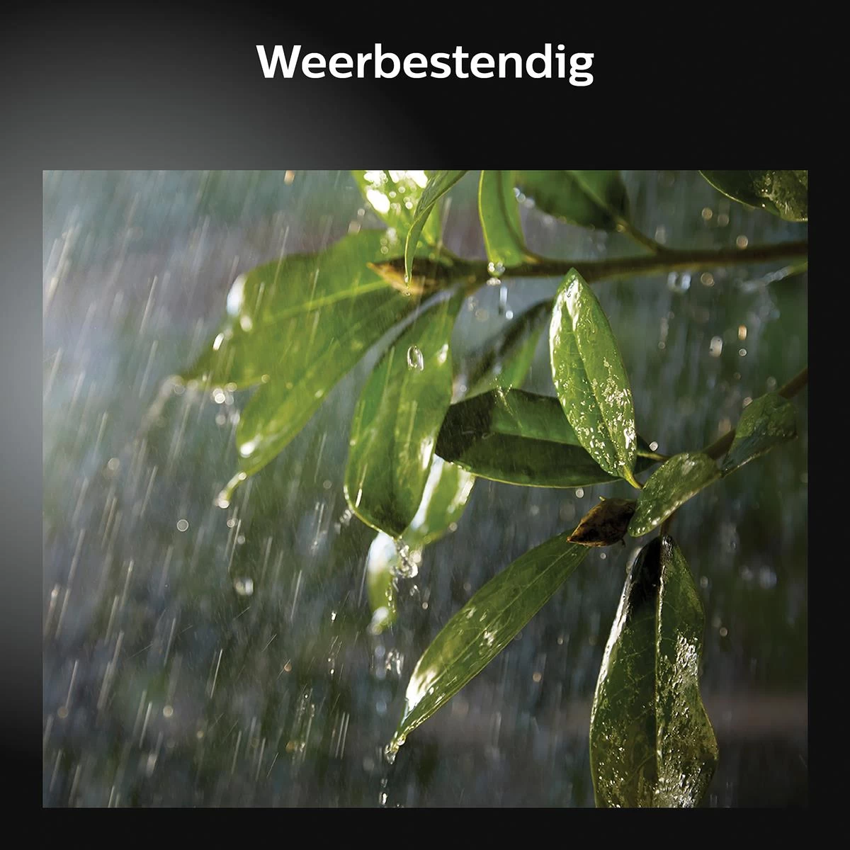 Philips Hue Welkom Schijnwerper - Afbeelding 10