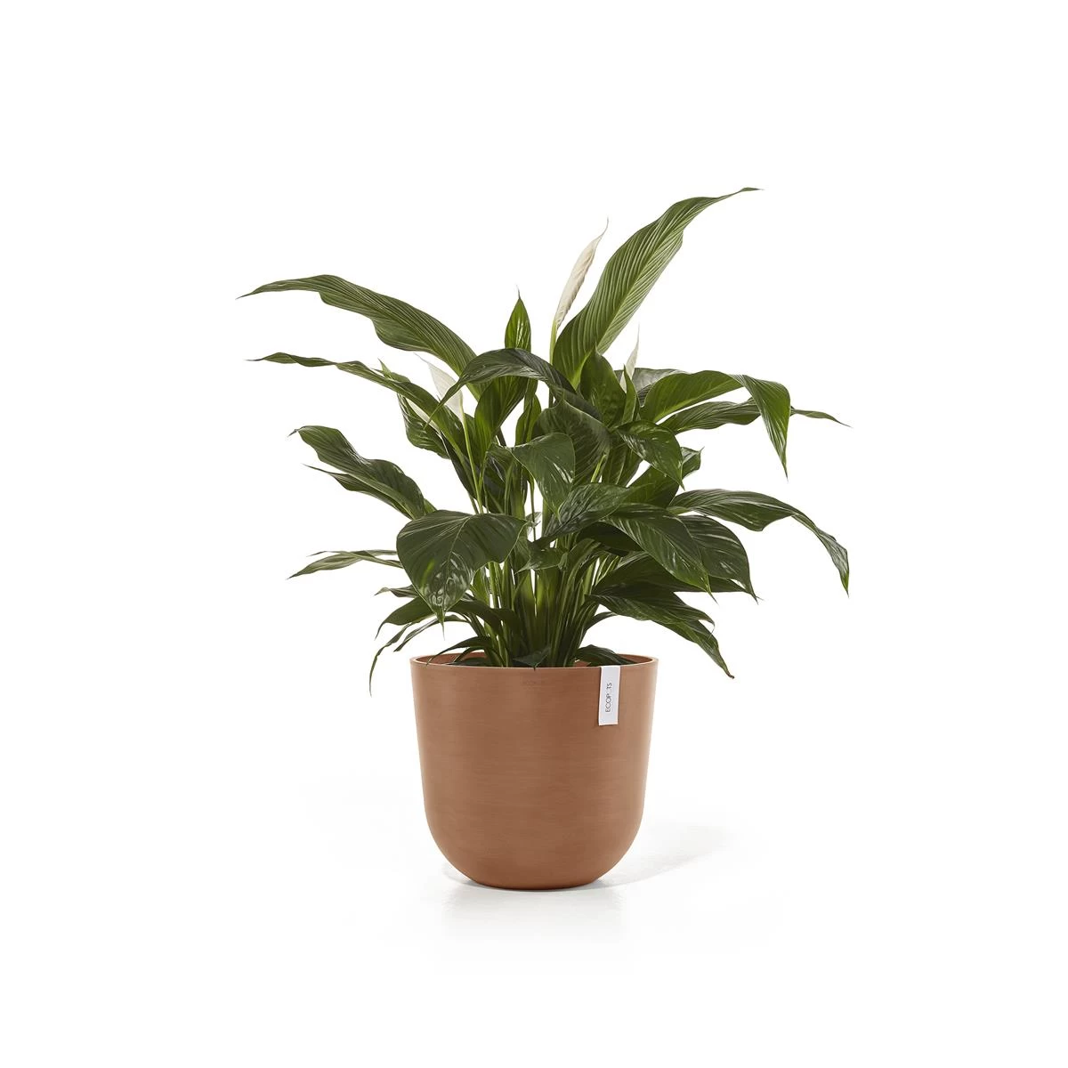 Ecopots Oslo Bloempot Ø 45 Cm - Terra - Afbeelding 2