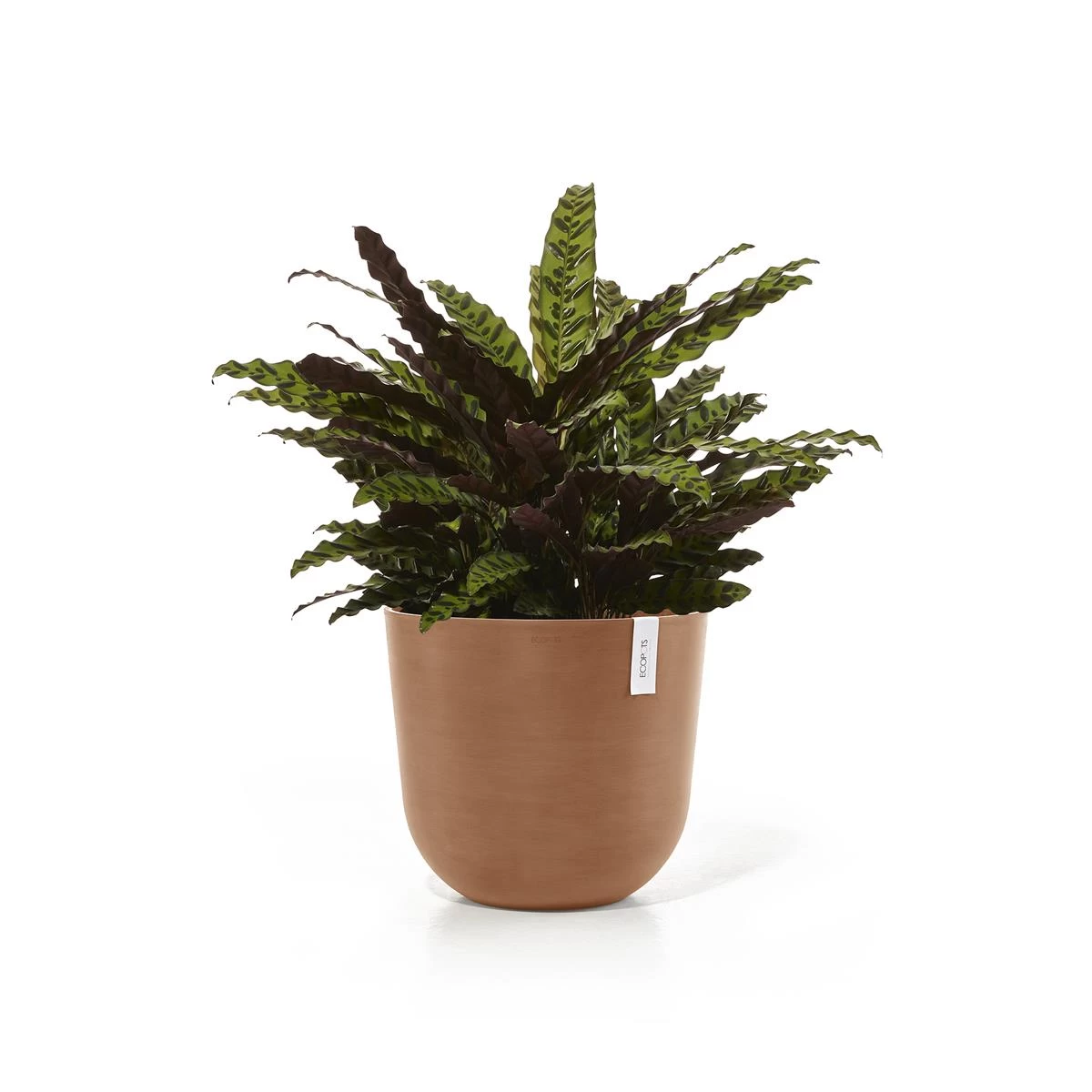 Ecopots Oslo Bloempot Ø 45 Cm - Terra - Afbeelding 3