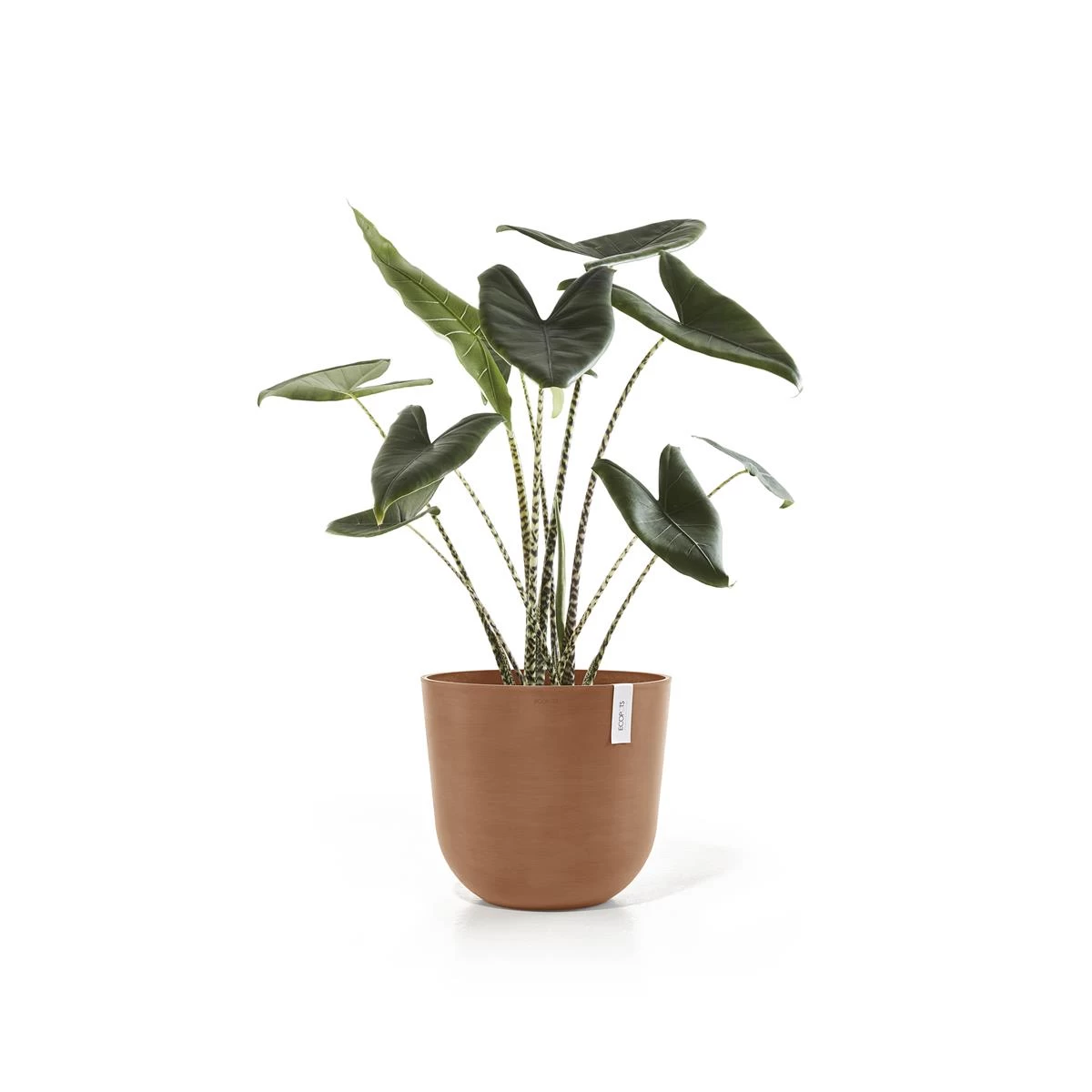 Ecopots Oslo Bloempot Ø 45 Cm - Terra - Afbeelding 4