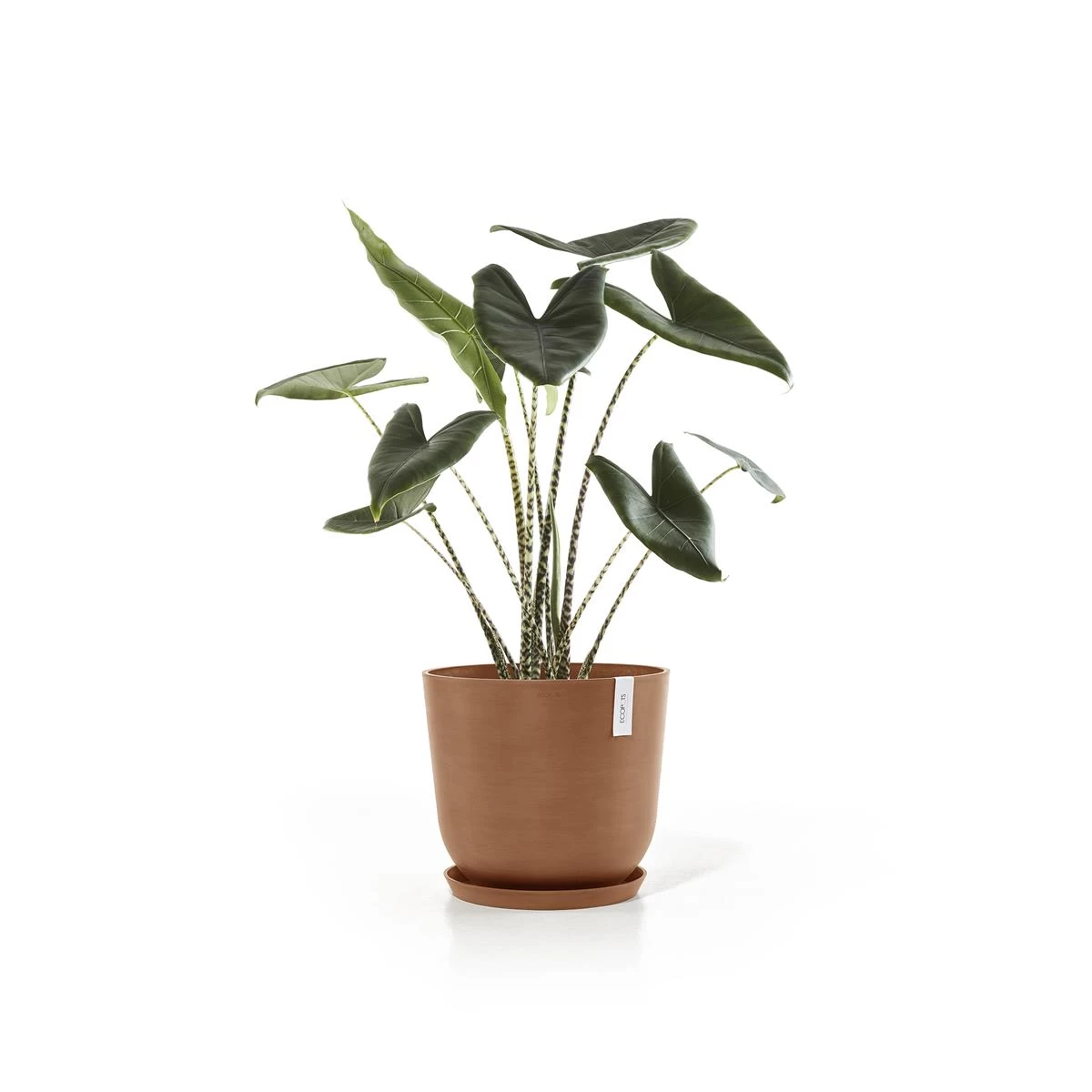 Ecopots Oslo Bloempot Ø 45 Cm - Terra - Afbeelding 8