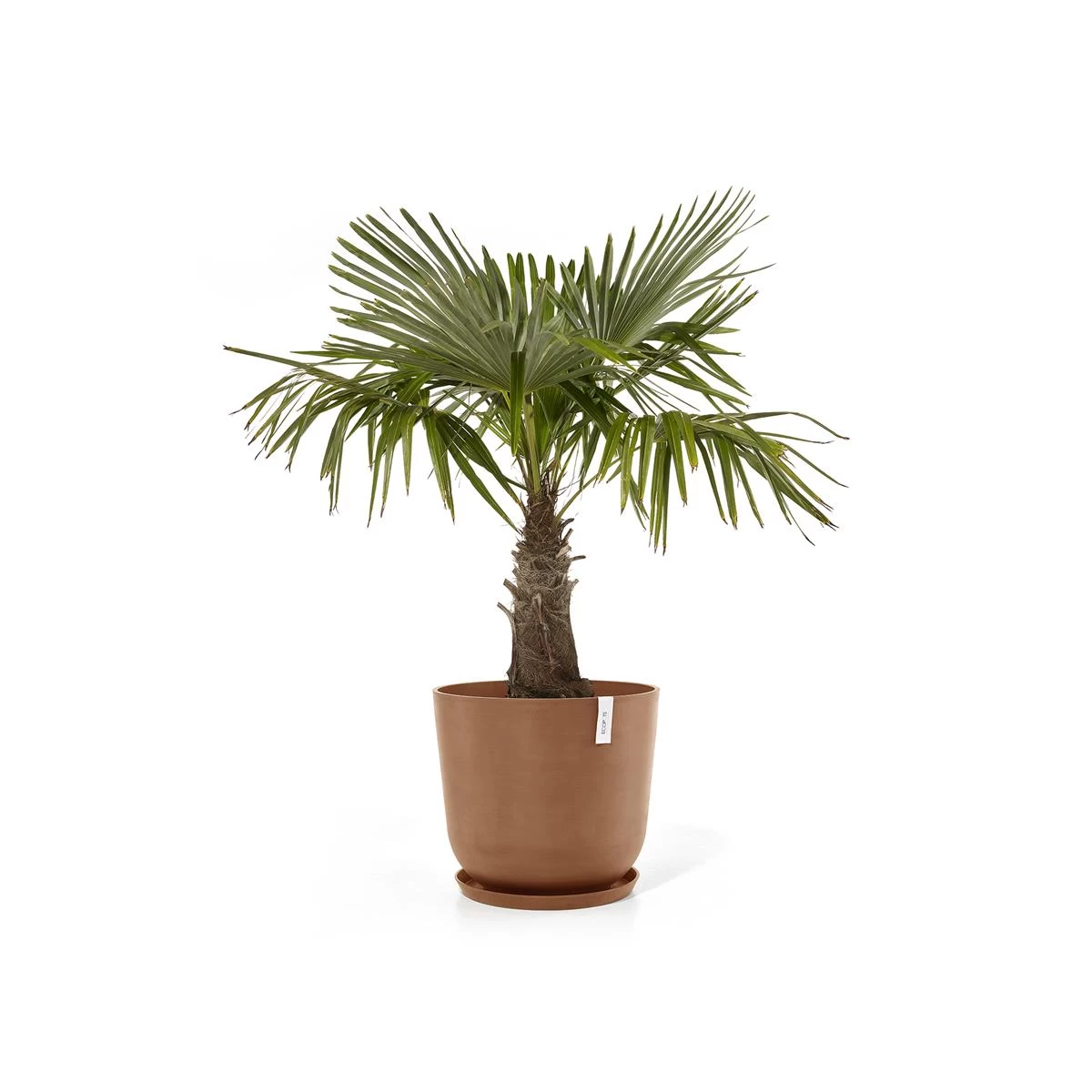 Ecopots Oslo Bloempot Ø 55 Cm - Terra - Afbeelding 5