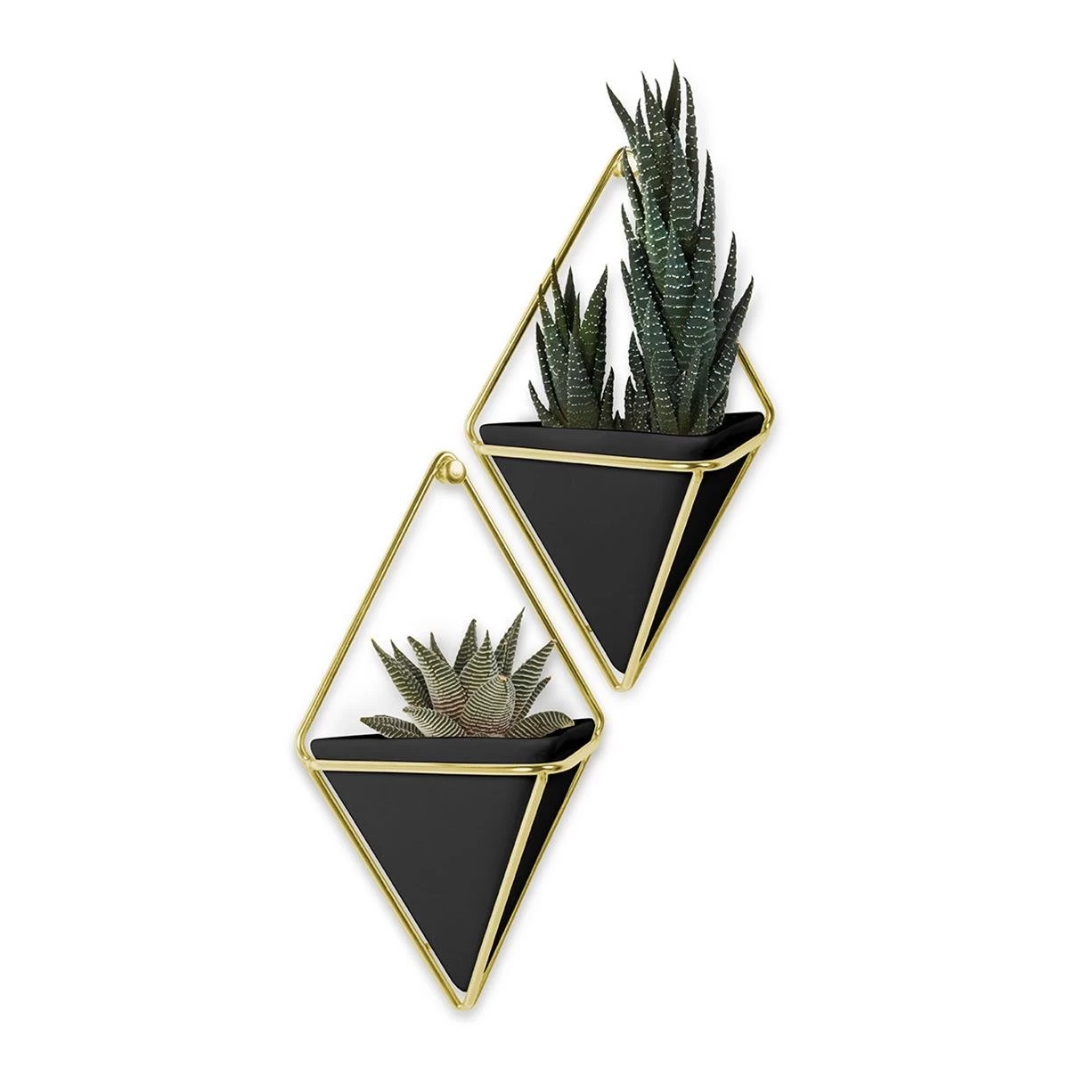 Umbra Trigg Wandhouder En Bloempot