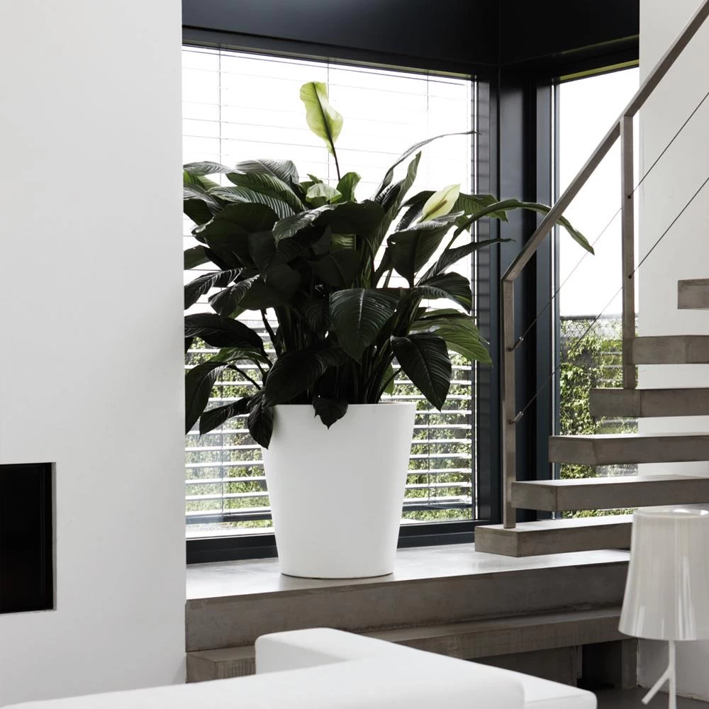 Elho Pure Straight Round Plantenbak 50 Cm Wit - Afbeelding 2