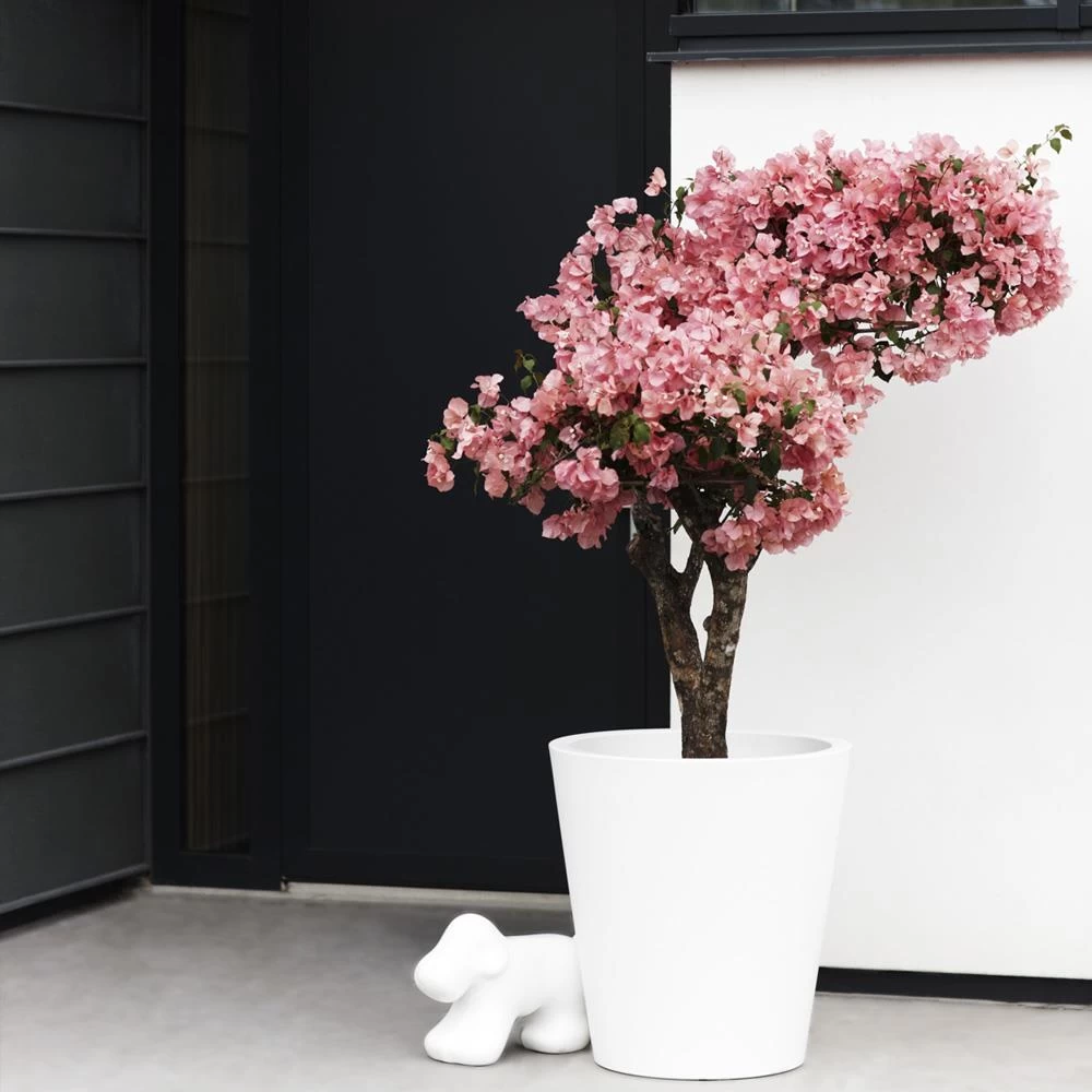 Elho Pure Straight Round Plantenbak 50 Cm Wit - Afbeelding 3