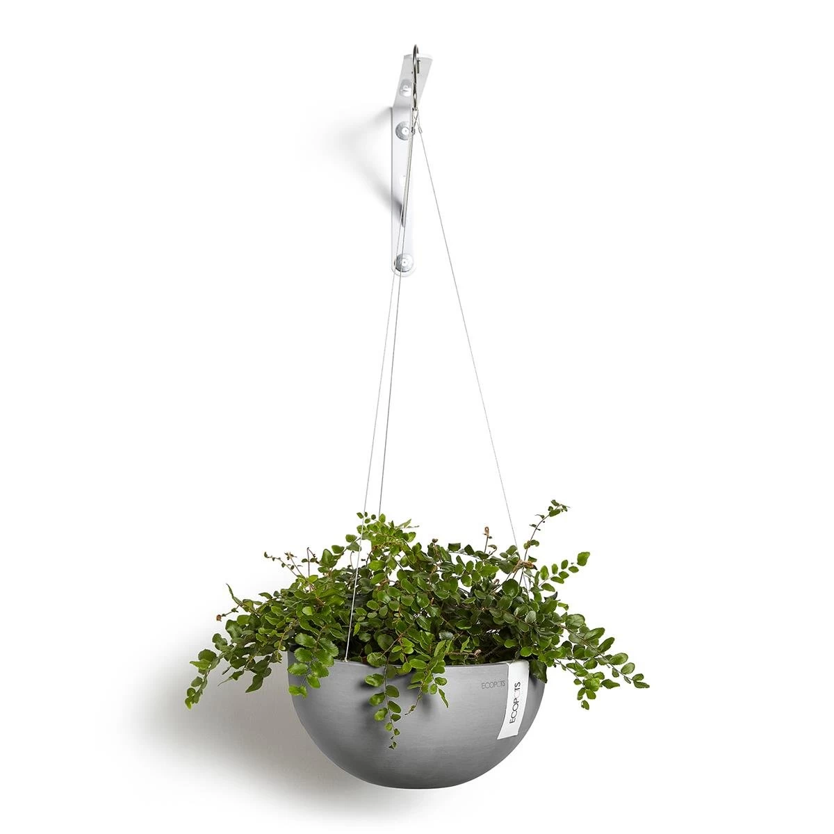 Ecopots Hanging Brussels - Afbeelding 2