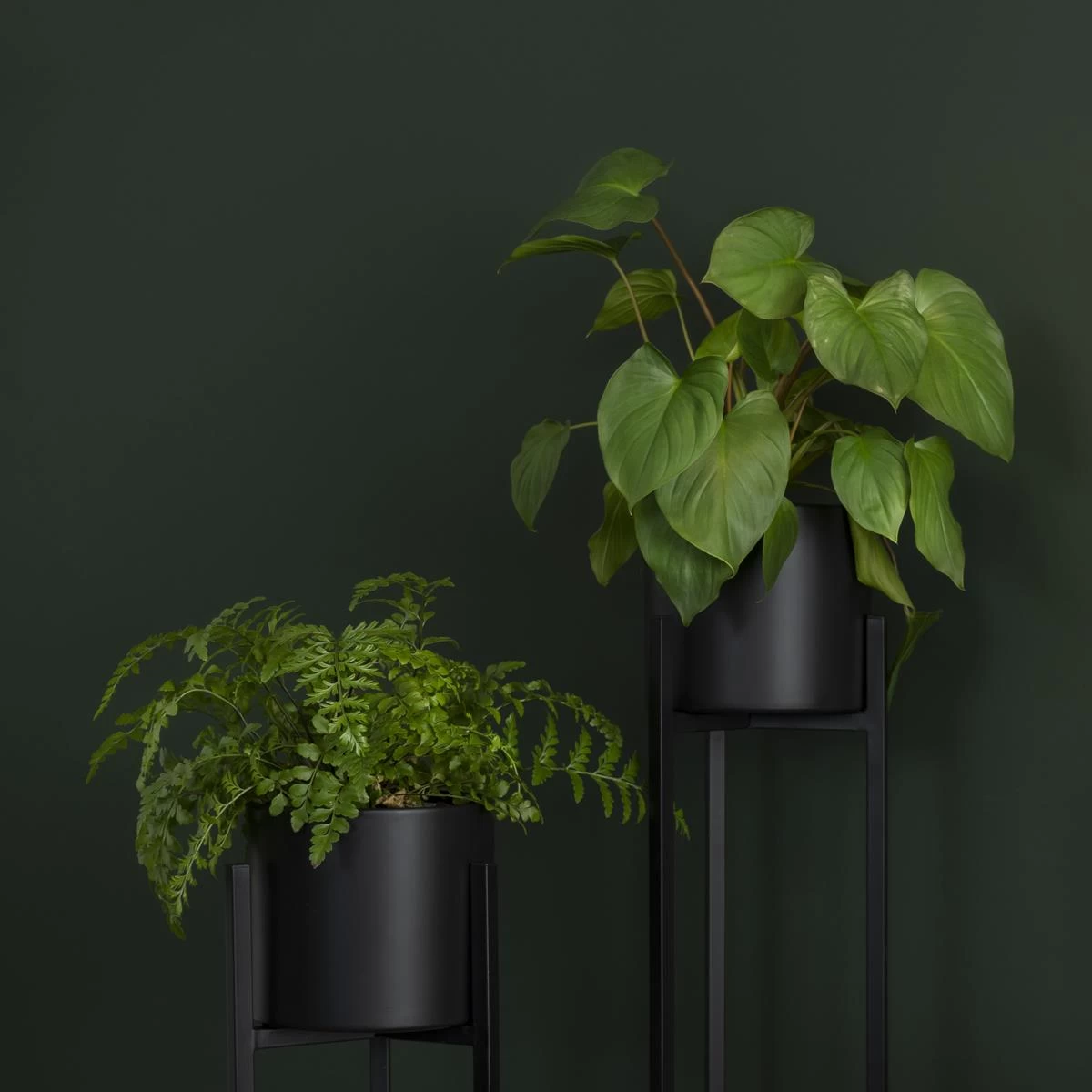 QUVIO Plantenstandaard Inclusief Pot - 22x22x60 Cm - Zwart - S - Afbeelding 2