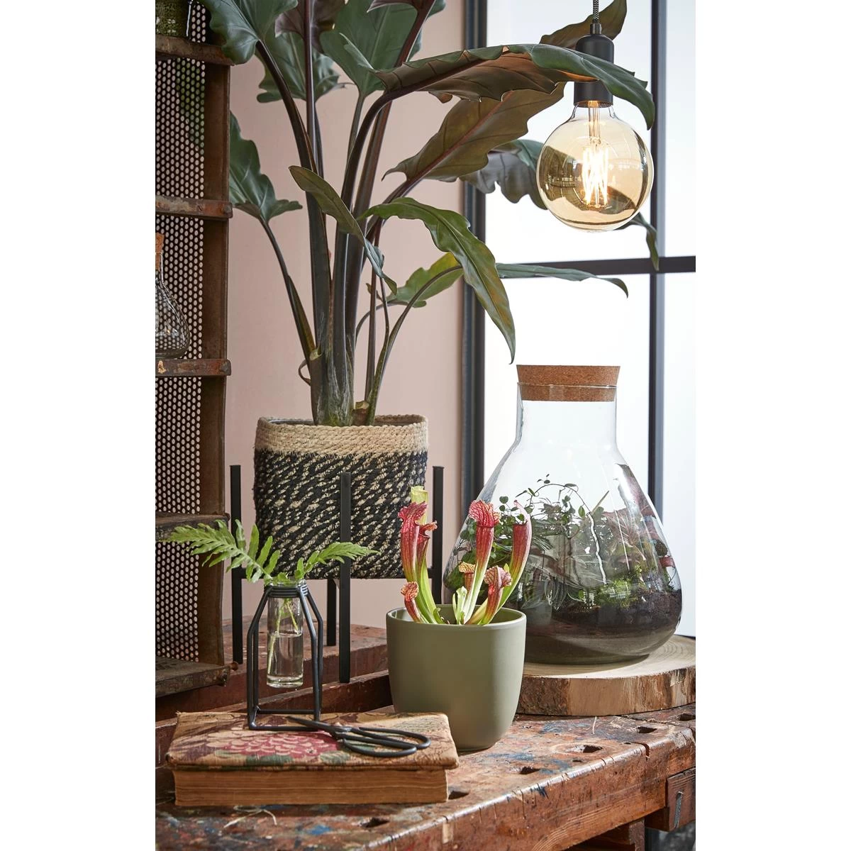 Mica Decorations Bonaparte Mand Voor Planten - Set Van 3 - Zwart - Afbeelding 6