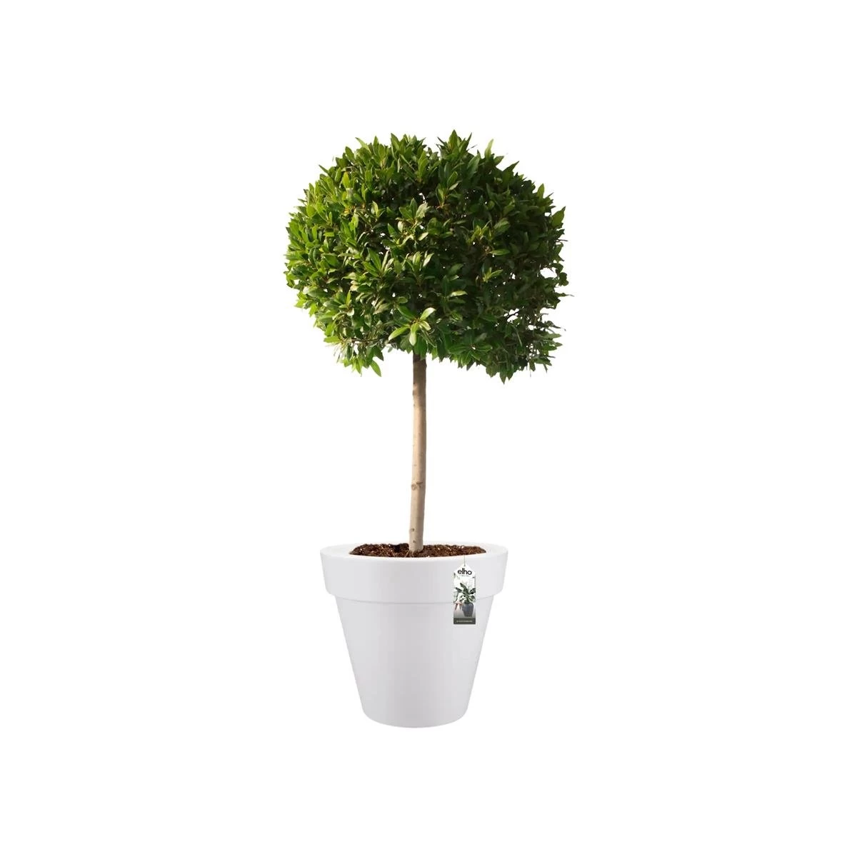 Elho Pure Round Bloempot Ø 80 Cm - Wit - Afbeelding 3