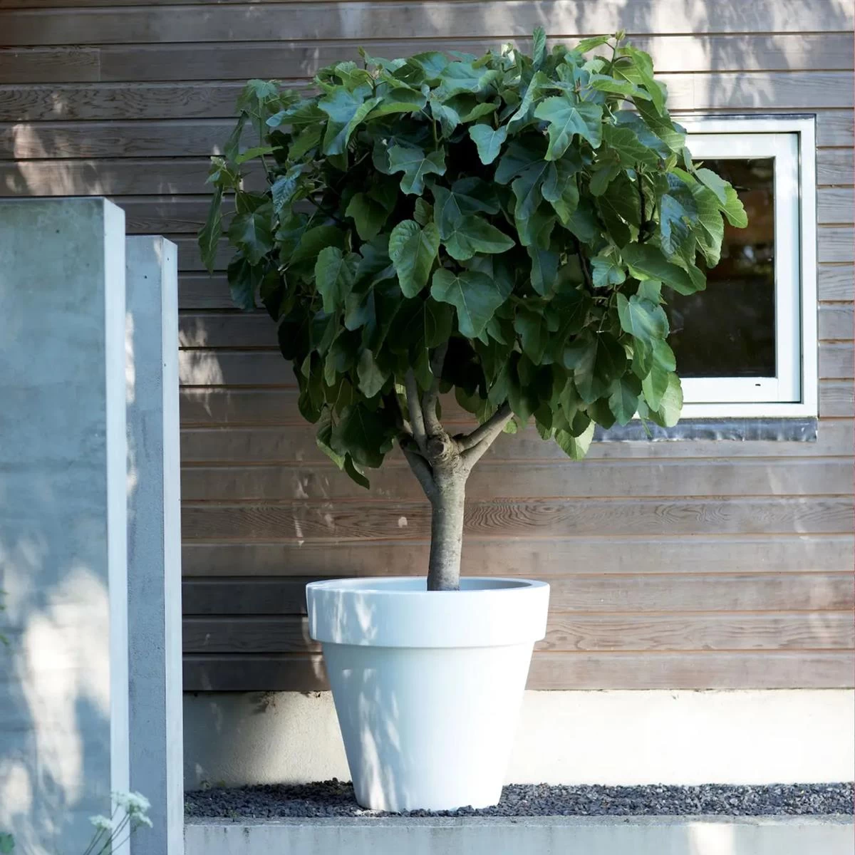 Elho Pure Round Bloempot Ø 100 Cm - Wit - Afbeelding 10