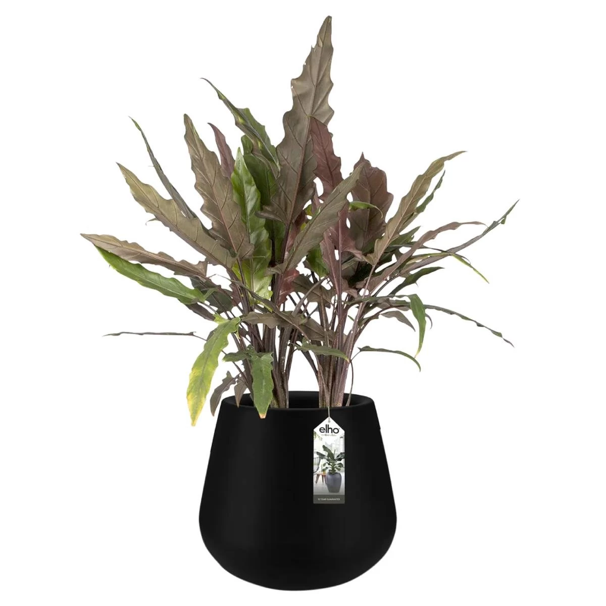 Elho Pure Cone Bloempot Ø 45 Cm - Zwart - Afbeelding 3