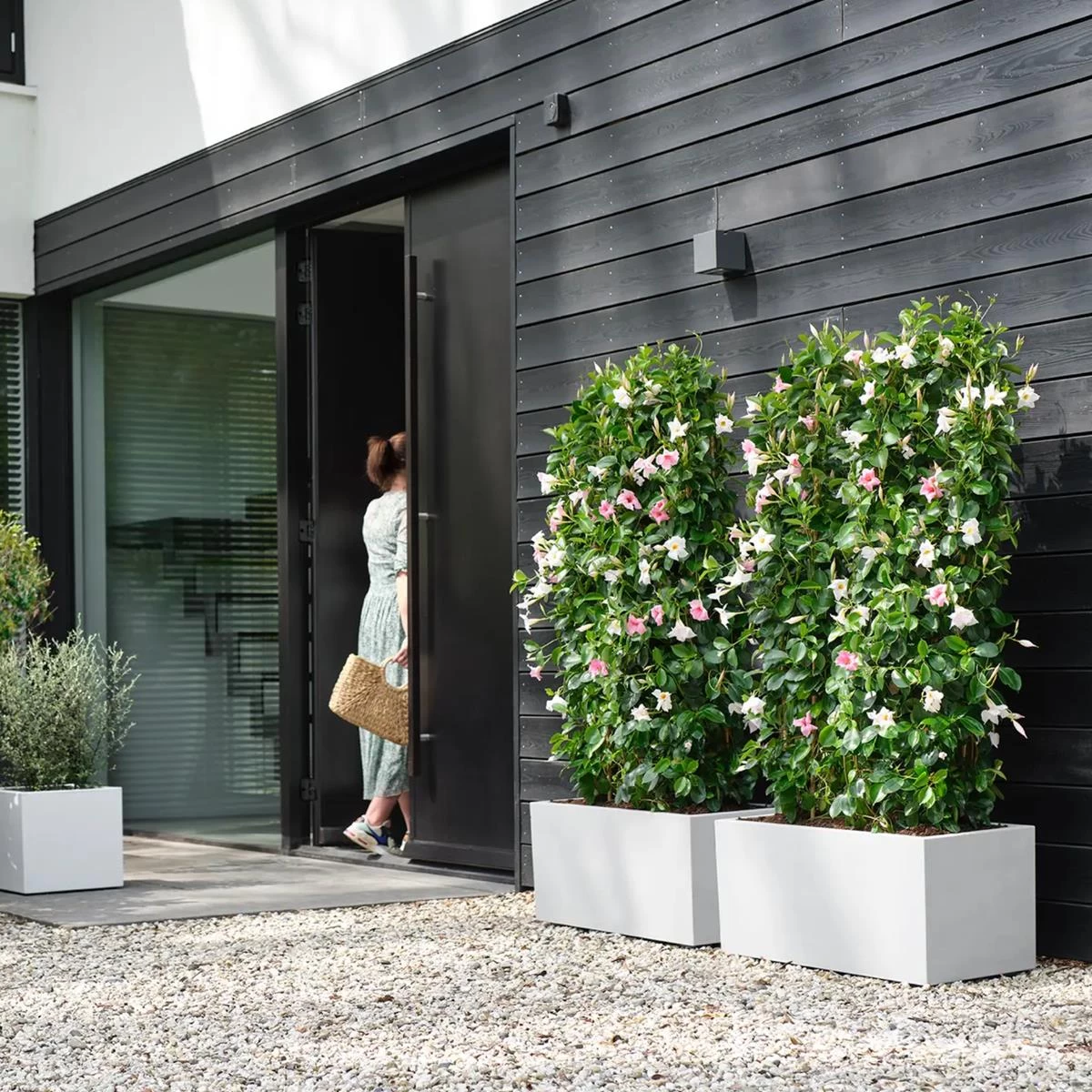 Elho Vivo Next Plantenbak B 80 Cm - Wit - Afbeelding 2