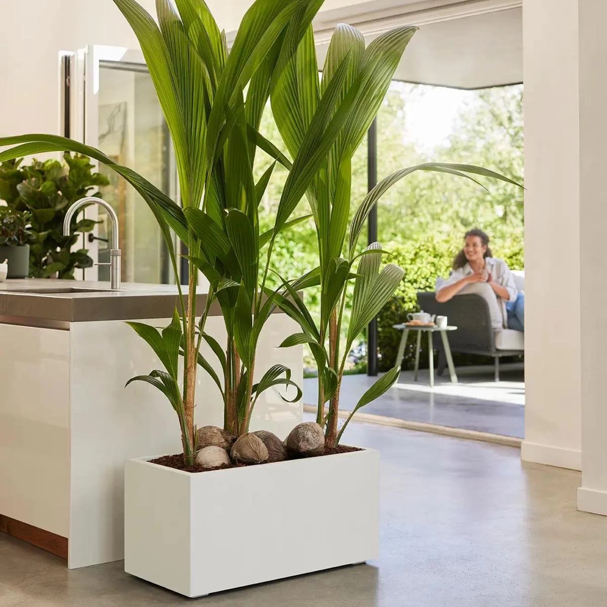 Elho Vivo Next Plantenbak B 80 Cm - Wit - Afbeelding 12