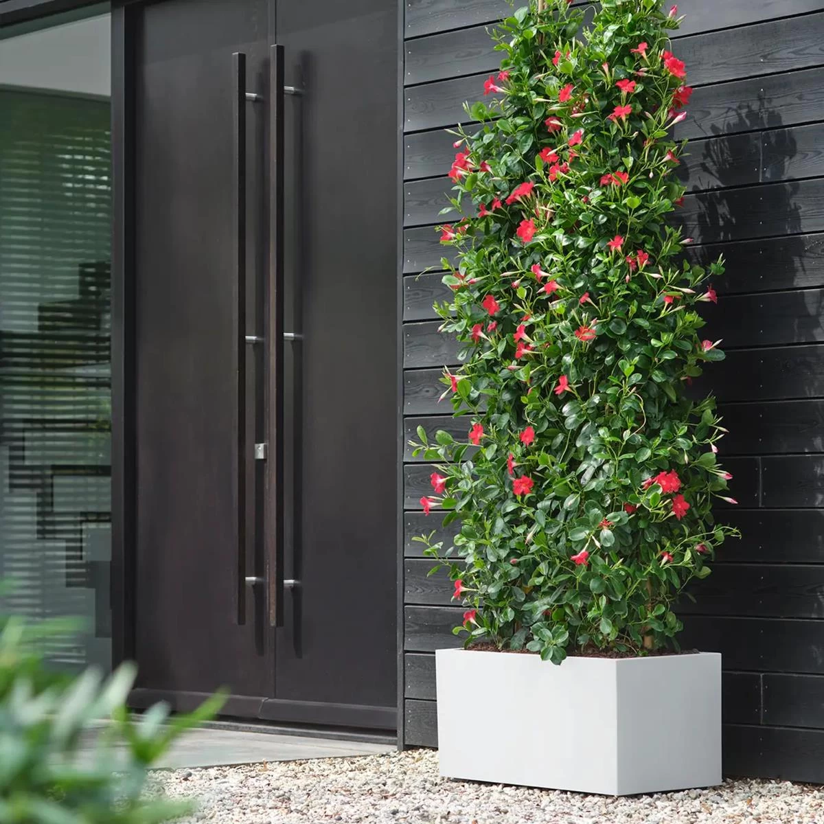 Elho Vivo Next Plantenbak B 80 Cm - Wit - Afbeelding 13