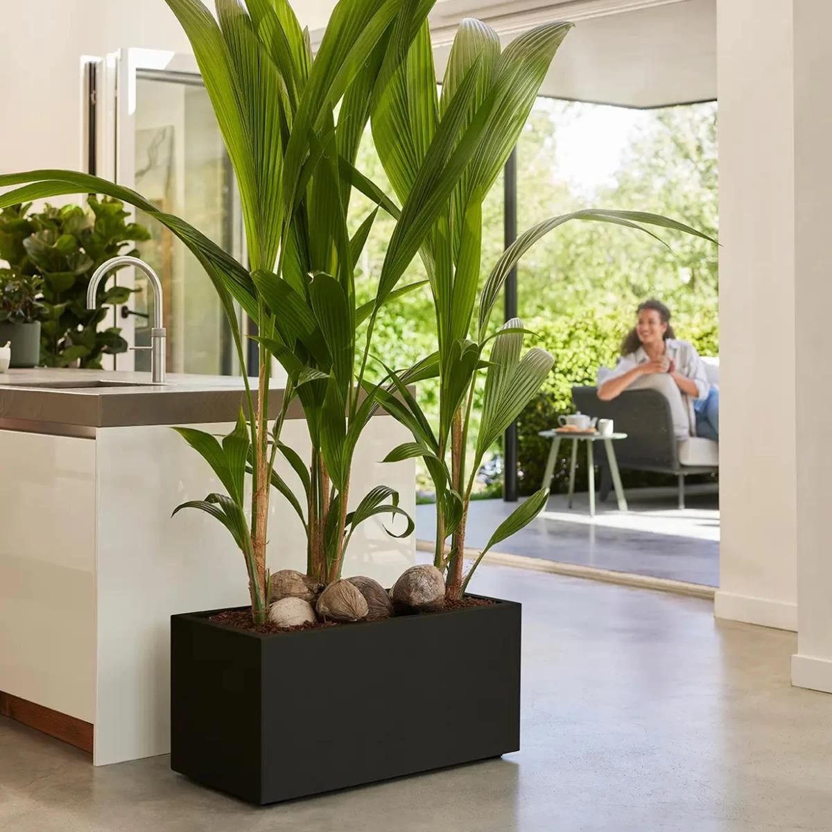 Elho Vivo Next Plantenbak B 60 Cm - Zwart - Afbeelding 2