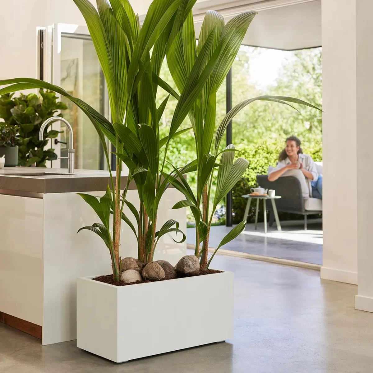 Elho Vivo Next Plantenbak B 60 Cm - Wit - Afbeelding 2