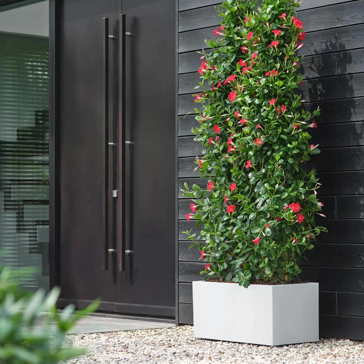 Elho Vivo Next Plantenbak B 60 Cm - Wit - Afbeelding 12