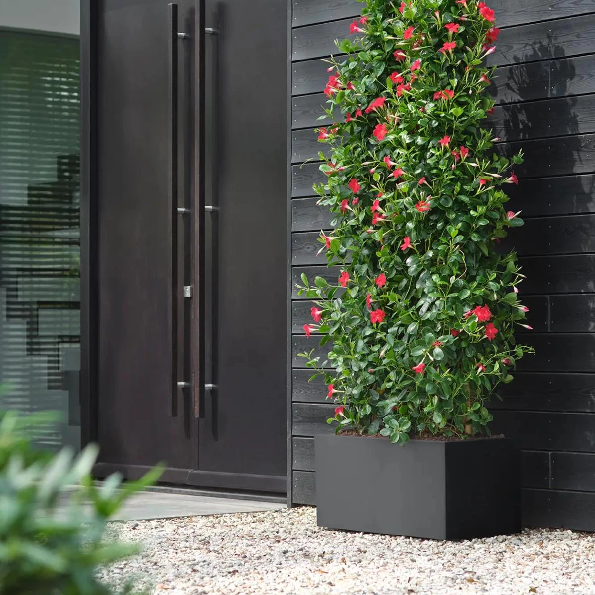 Elho Vivo Next Plantenbak B 60 Cm - Zwart - Afbeelding 12