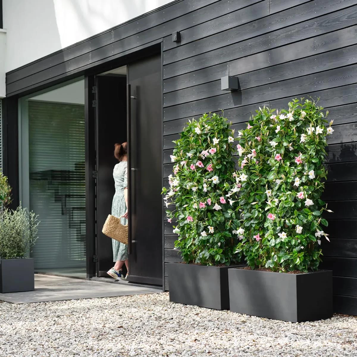 Elho Vivo Next Plantenbak B 60 Cm - Zwart - Afbeelding 13