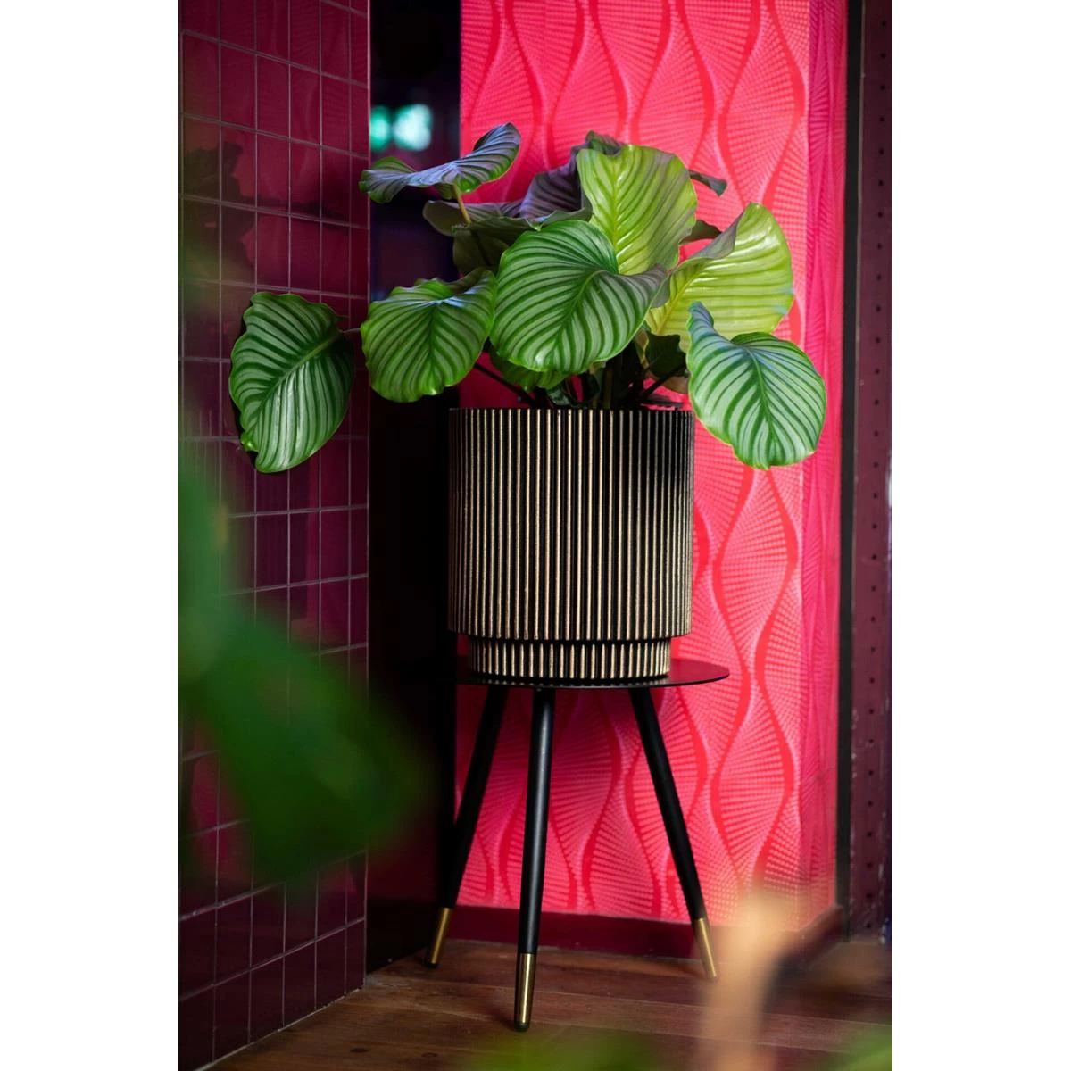 Capi Europe Vaas Cilinder Groove NL - 41x43 - Goud - Afbeelding 5