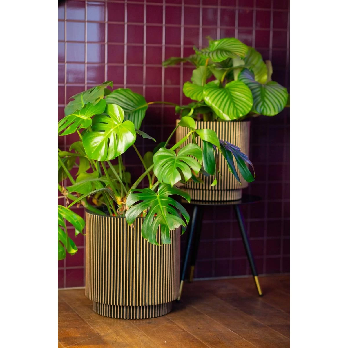 Capi Europe Vaas Cilinder Groove NL - 41x43 - Goud - Afbeelding 6