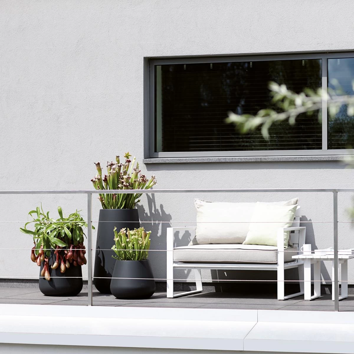 Elho Pure Cone Bloempot Ø 45 Cm - Zwart - Afbeelding 2