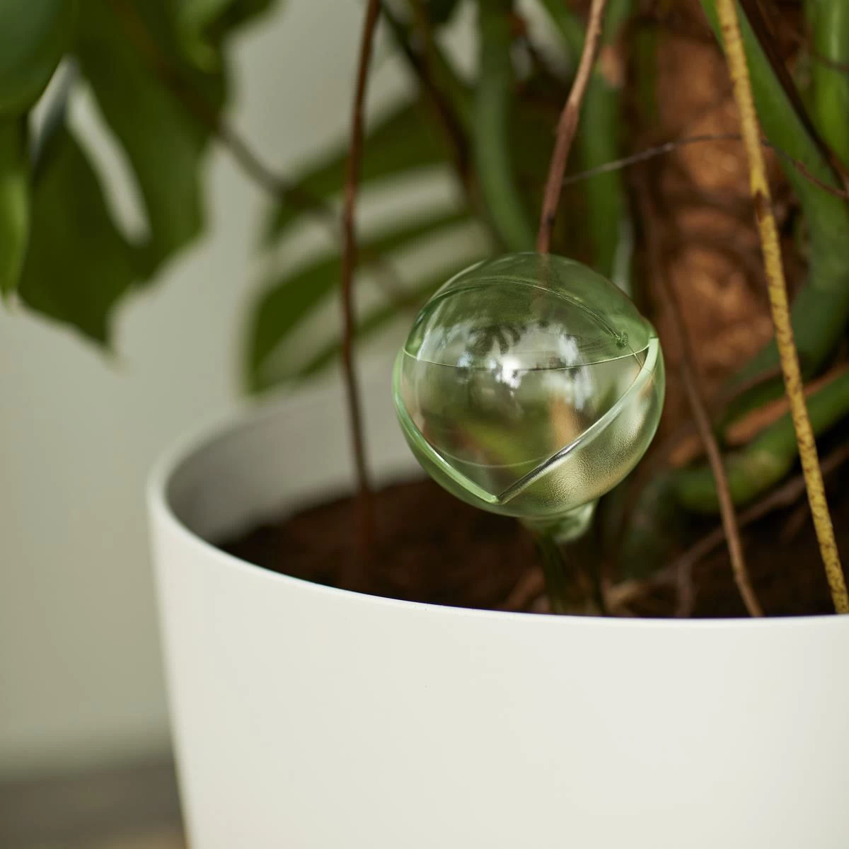 Elho Aqua Care Waterdispenser - Afbeelding 2