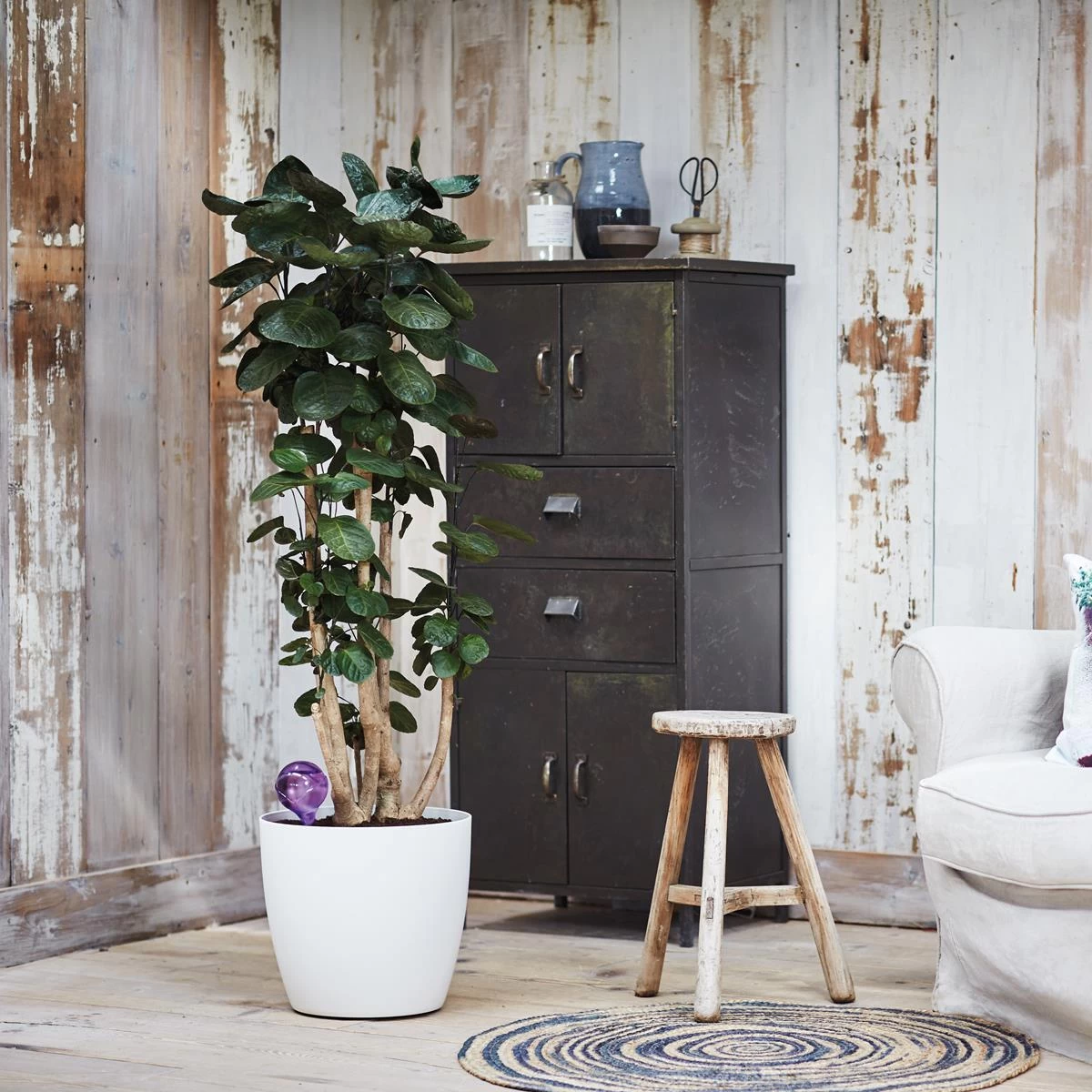 Elho Aqua Care Waterdispenser - Afbeelding 5