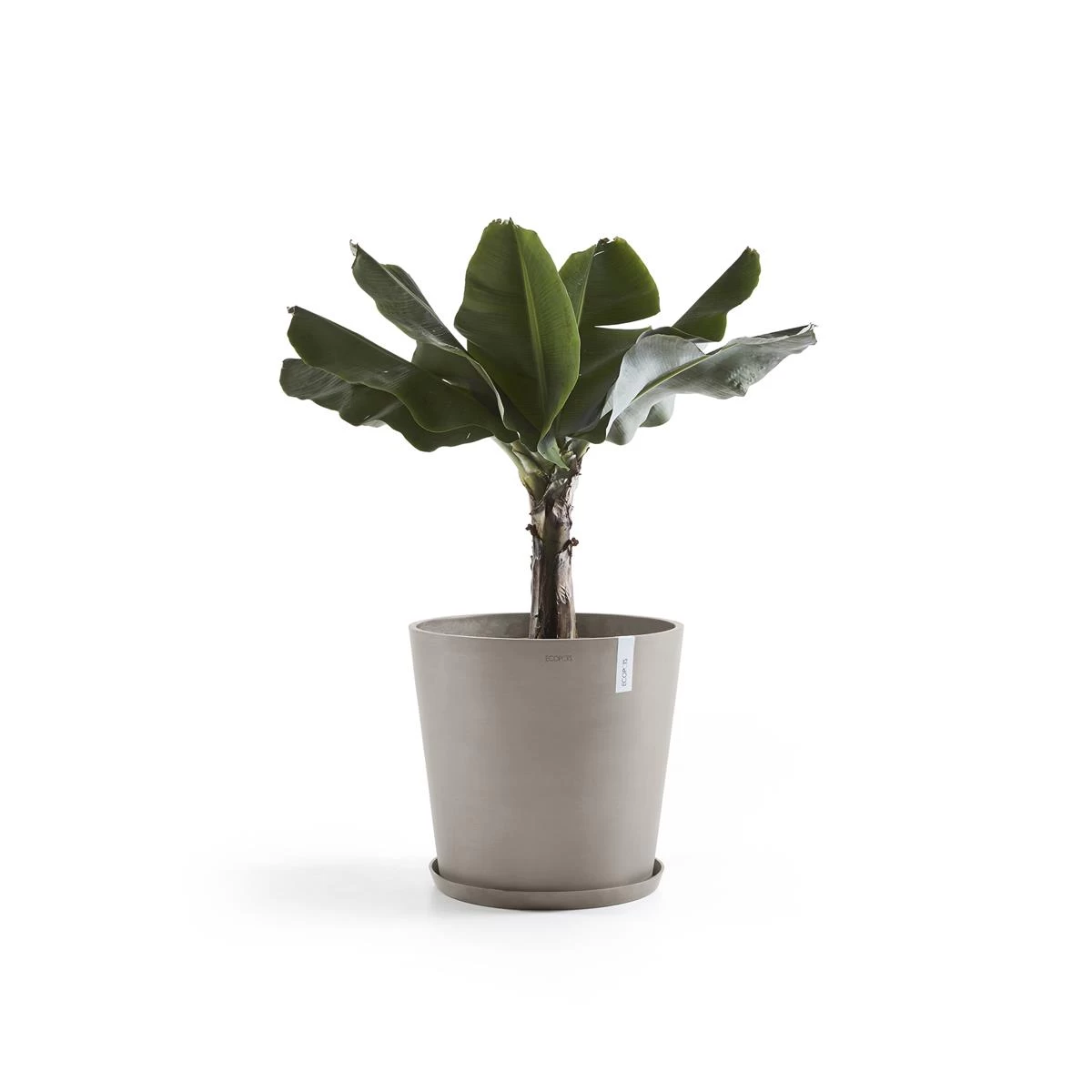 Ecopots Amsterdam Bloempot Ø 60 Cm - Taupe - Afbeelding 8