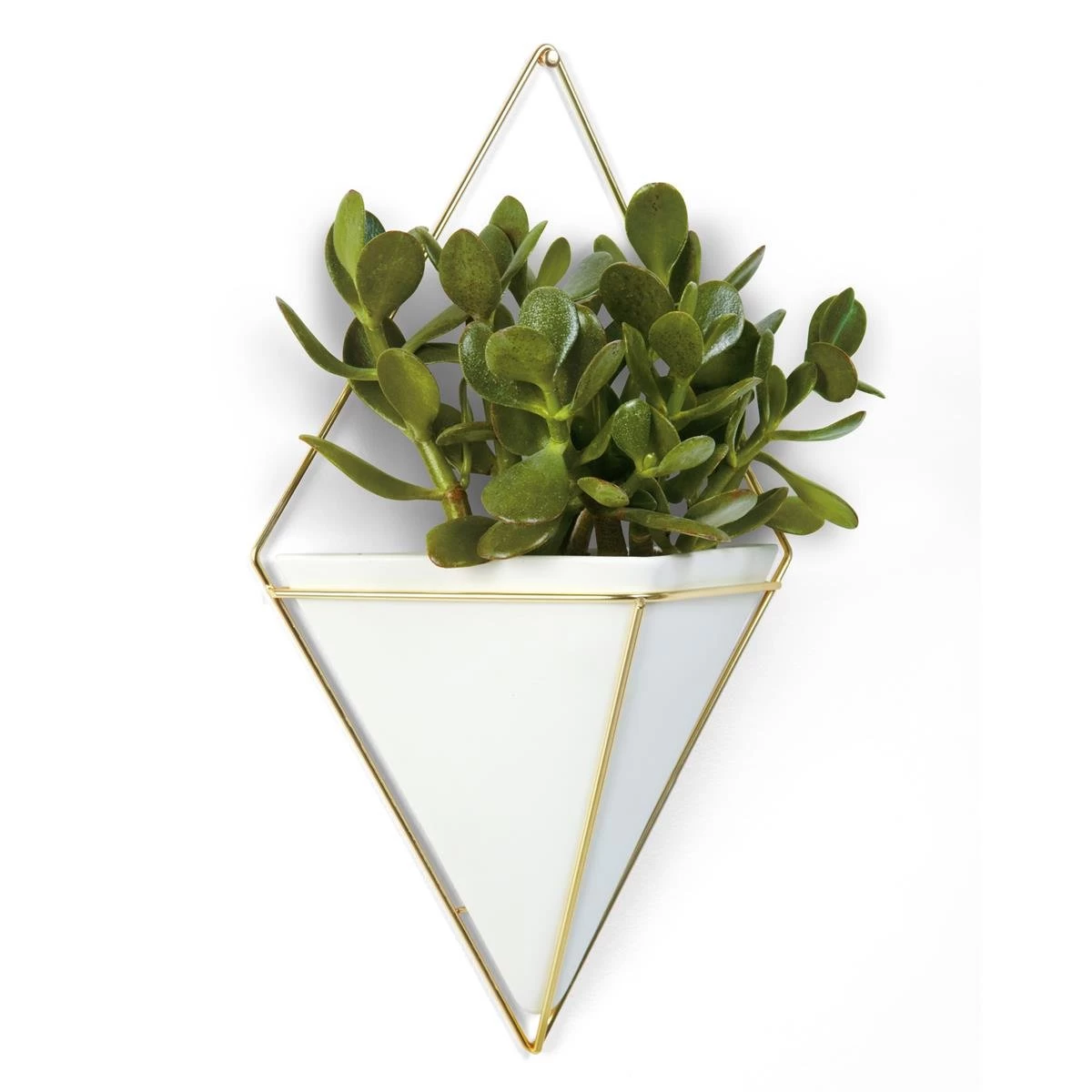 Umbra Trigg Wandelement En Bloempot - 38 X 23 Cm - Afbeelding 2