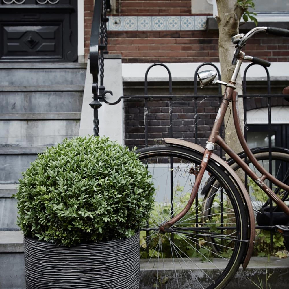 Capi Europe Nature Rib Vaas Eleg. Deluxe 56 Cm - Afbeelding 2