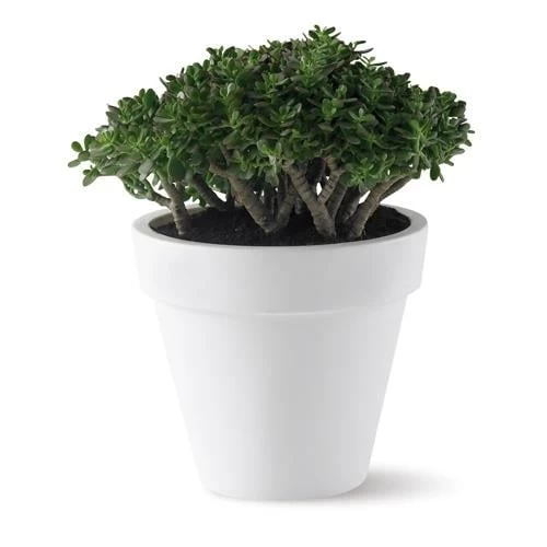Elho Pure Round Bloempot Ø 100 Cm - Wit - Afbeelding 4