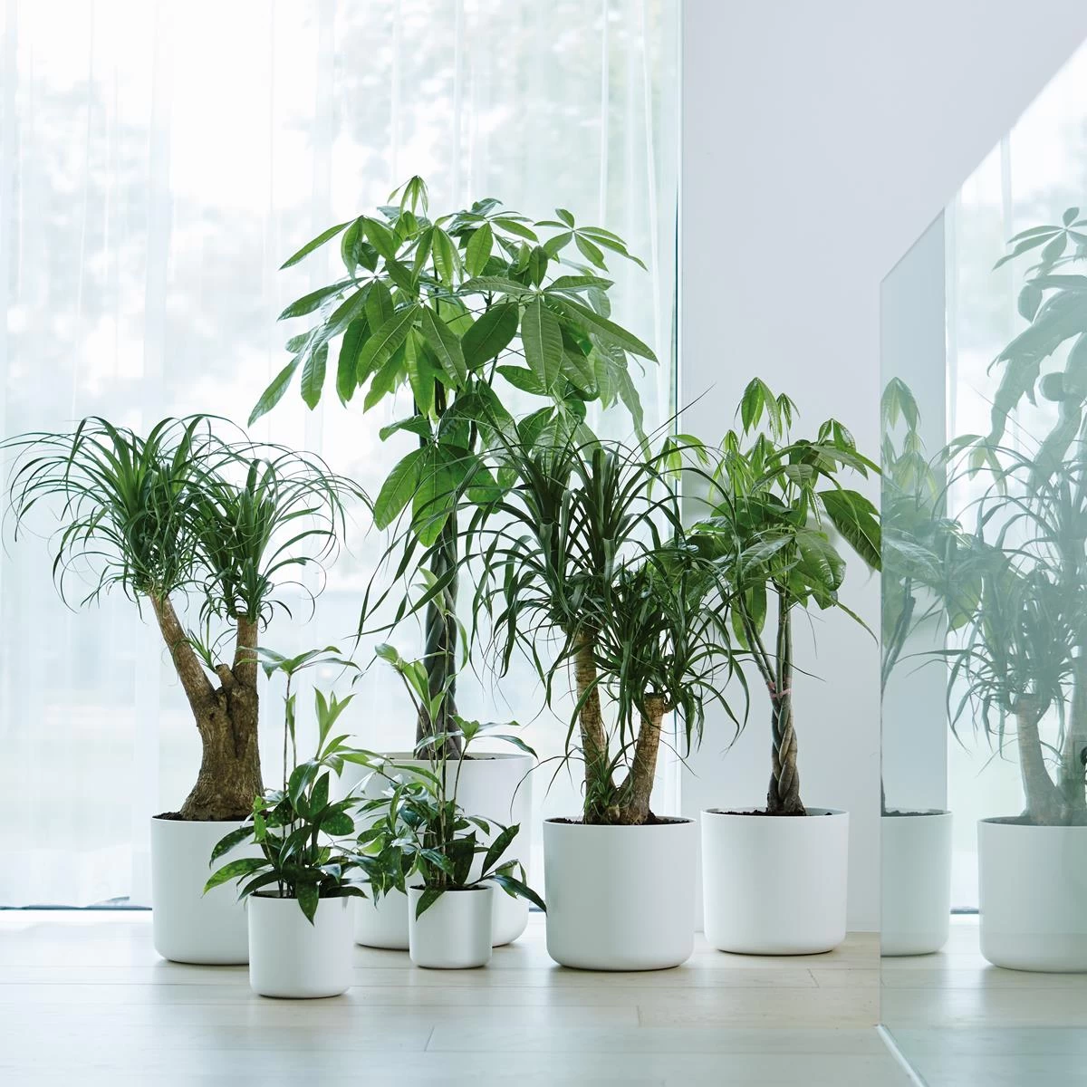 Elho B.For Soft Bloempot Rond 25 Cm - Afbeelding 4