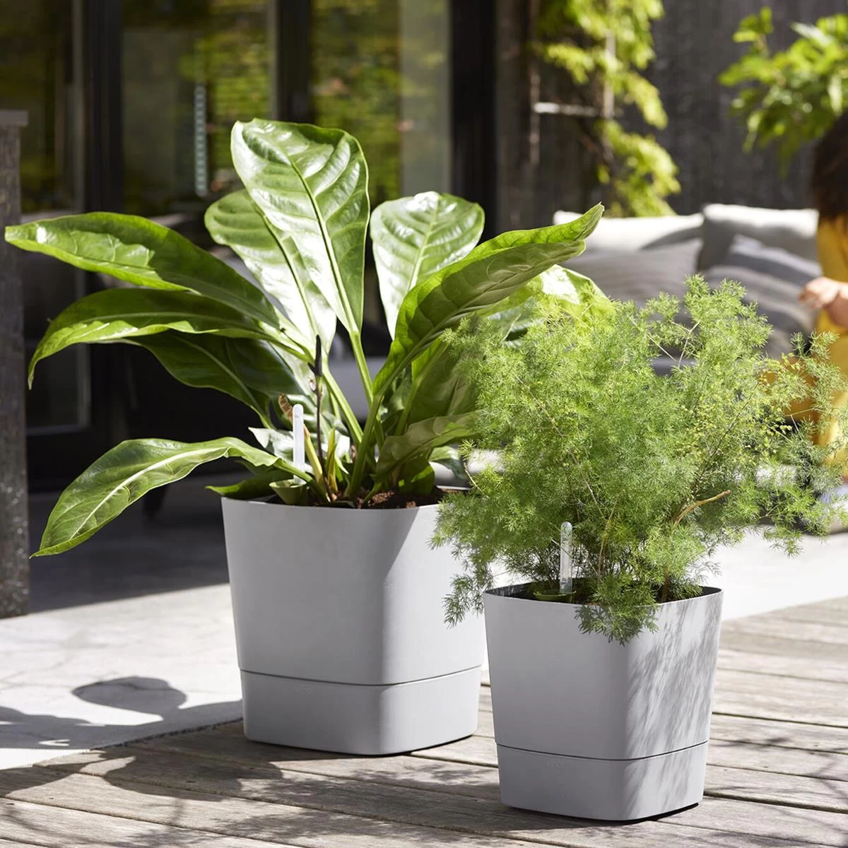 Elho Greensense Aqua Care - Vierkant -Ø 38 Cm - Afbeelding 2